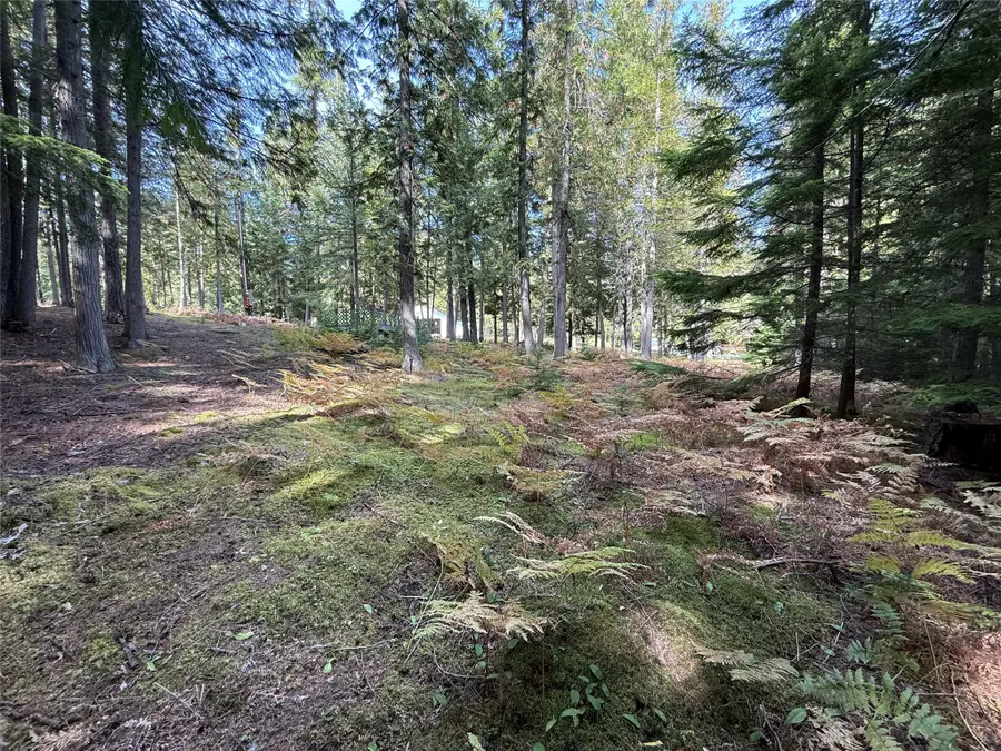 Lot 19 Cherub Lake Road, Troy, MT 59935 - #3