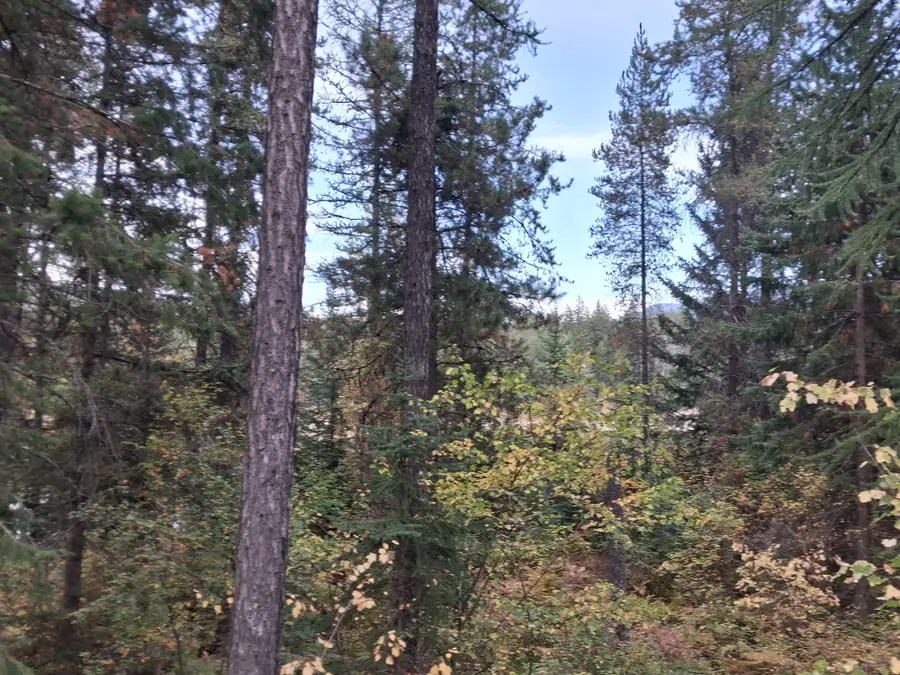 292 River Drive, Hungry Horse, MT 59919 - #3