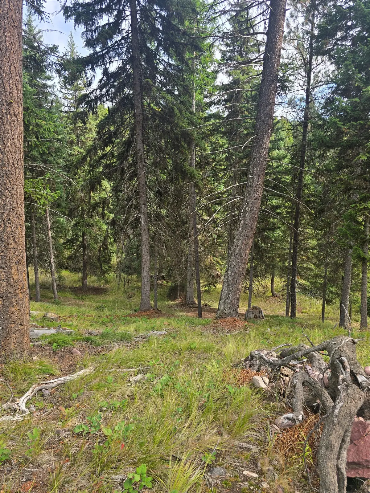 125 Moose Lane, Seeley Lake, MT 59868 - #1