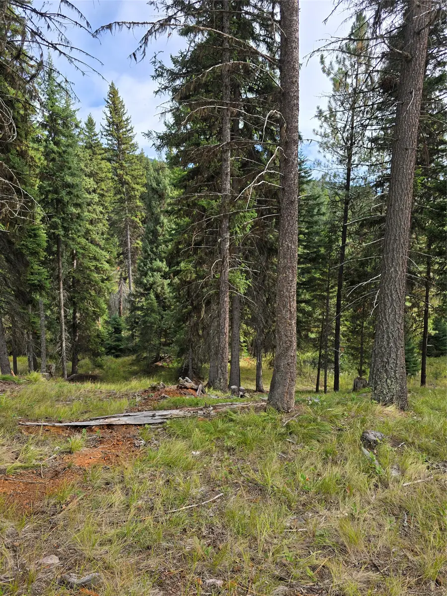 125 Moose Lane, Seeley Lake, MT 59868 - #2