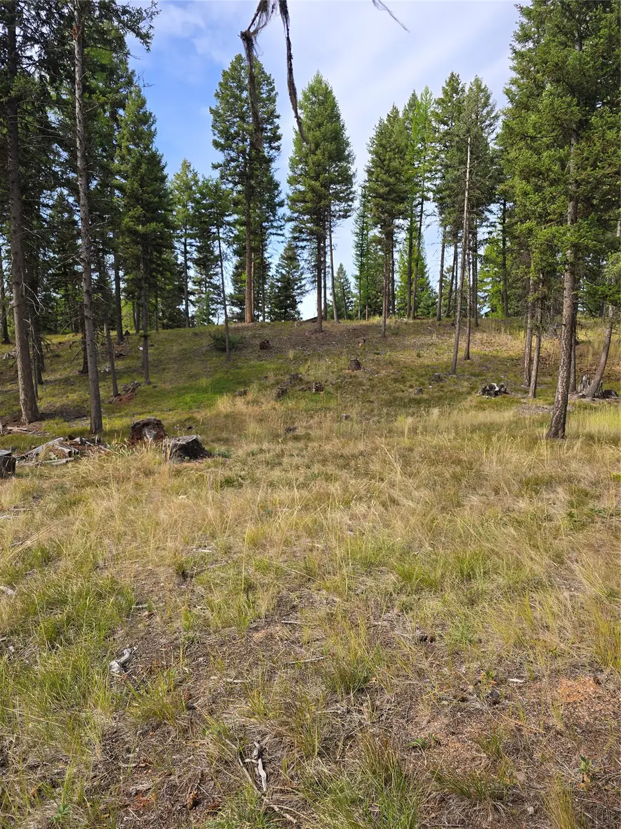 125 Moose Lane, Seeley Lake, MT 59868 - #3