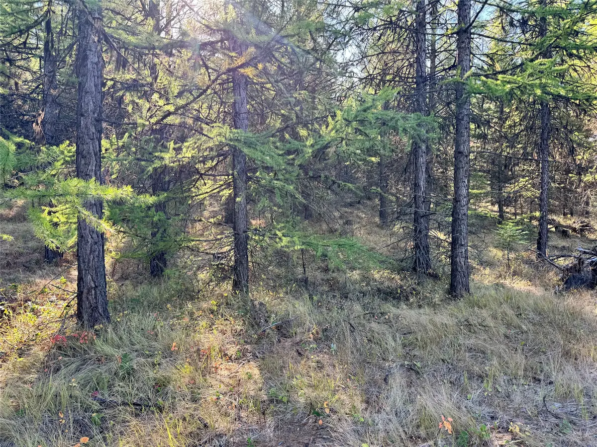 Lot 5 Panoramic View, Libby, MT 59923 - #1