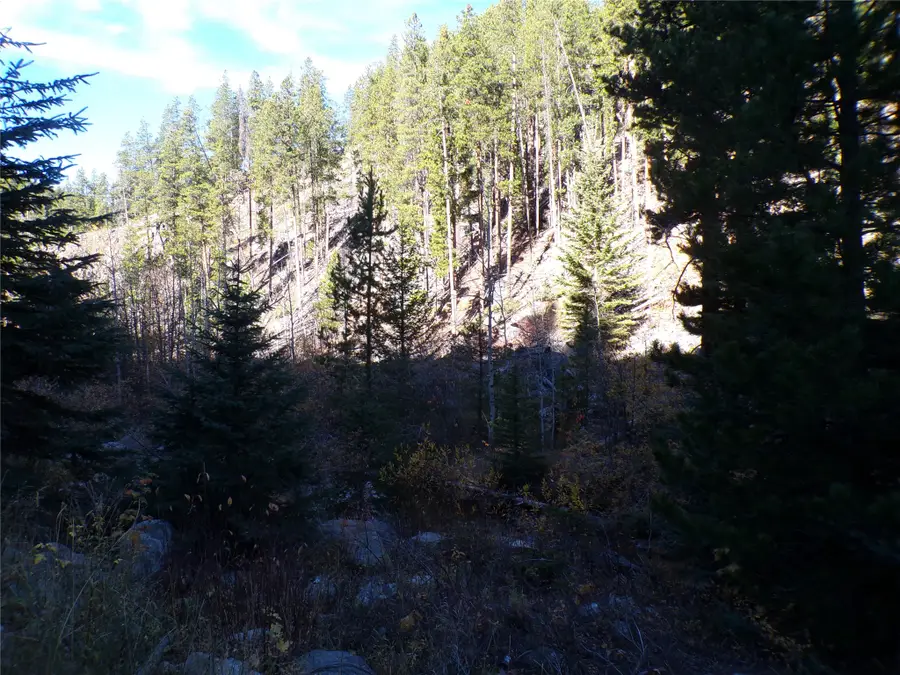 TBD Carpenter Creek Road, Neihart, MT 59465 - #3