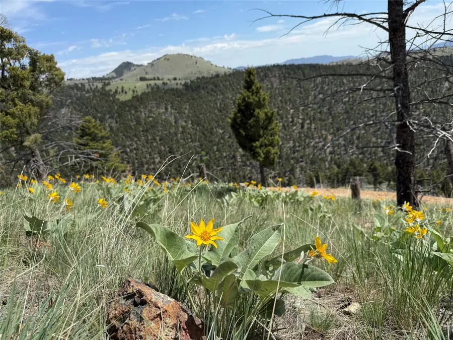 TBD (78 +/- Ac) High Ore Road, Boulder, MT 59632 - #2