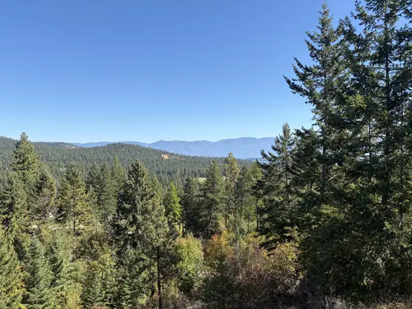 41325 Big Lodge Lane, Rollins, MT 59931