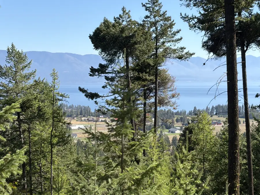 41325 Big Lodge Lane, Rollins, MT 59931 - #3