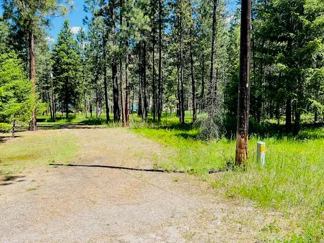 NHN Robins Nest Lane, Superior, MT 59872 - #1