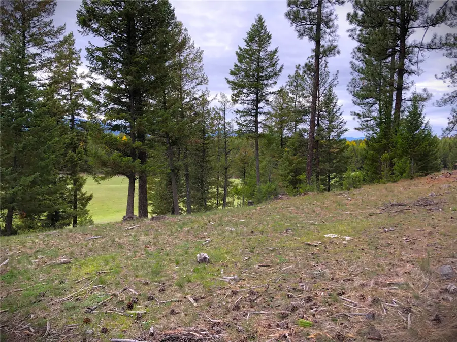 NHN Therriault Creek Road, Eureka, MT 59917 - #3