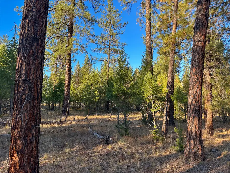 NHN Cherry Creek Road, Thompson Falls, MT 59873 - #2