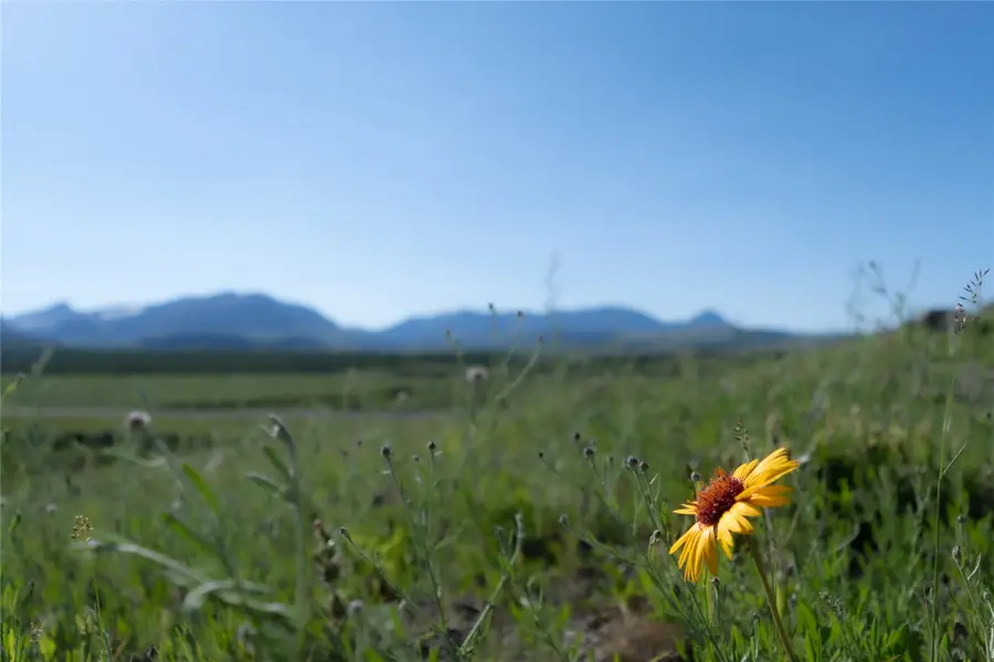 941 Us Hwy 89, Browning, MT 59417 - #3