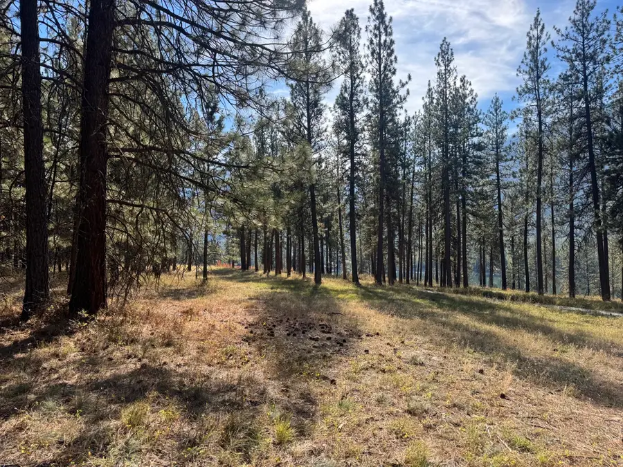 10 Munson Creek Road, Thompson Falls, MT 59873 - #2