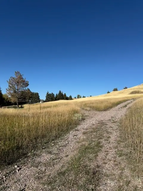 35716 S Hills Drive, Polson, MT 59860 - #3