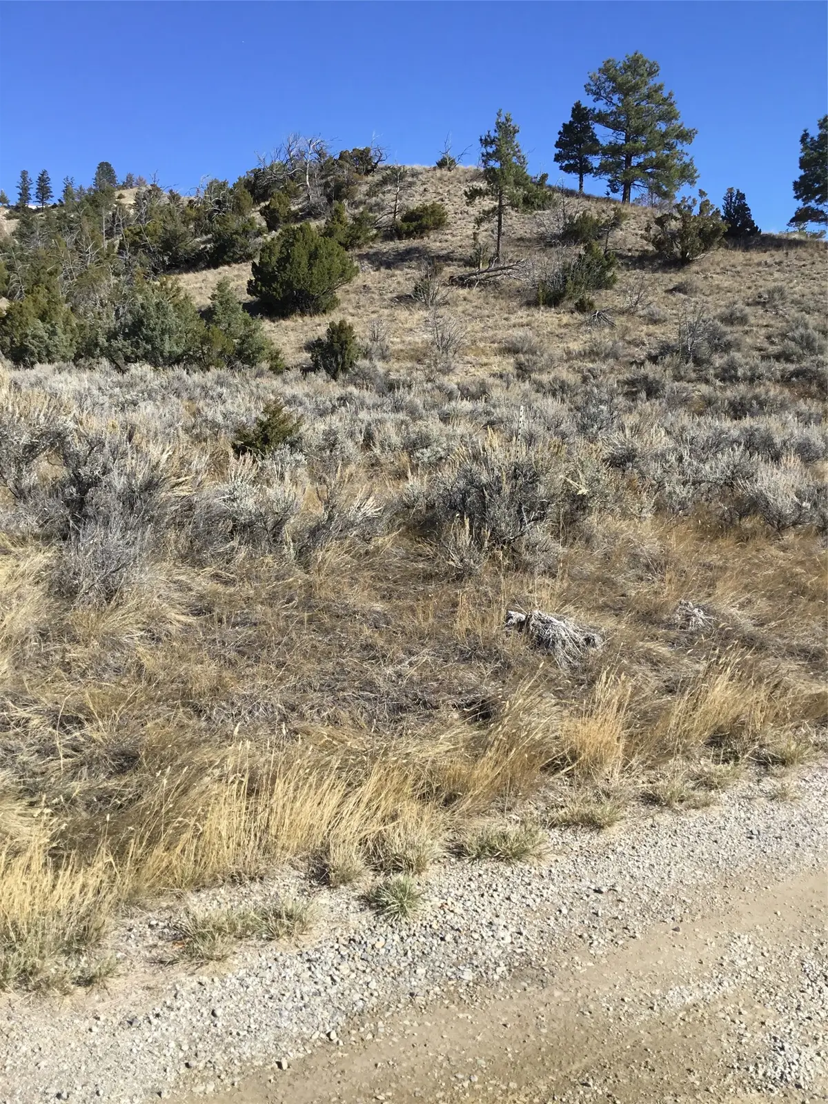 Unknown Hwy 12 E, Townsend, MT 59644 - #1