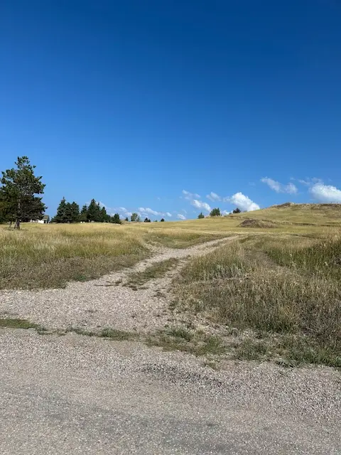 35716 S Hills Drive, Polson, MT 59860 - #3