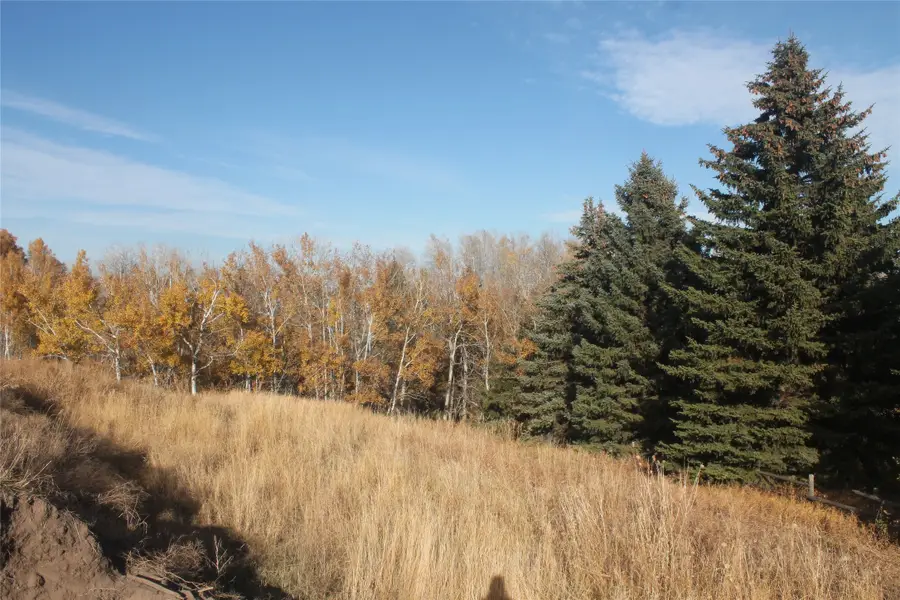 163 Westland Drive, Kalispell, MT 59901 - #3