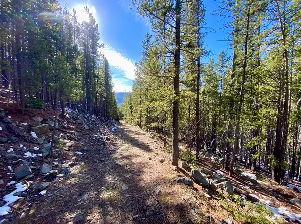 NNN Section 28, Neihart, MT 59465