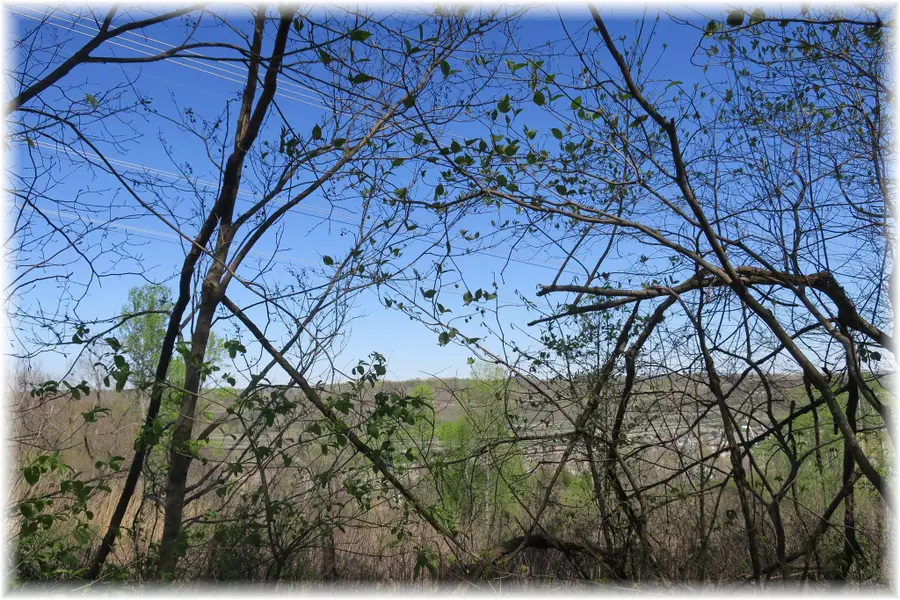 0 Mccrory, Nashville, TN 37221 - Image #3