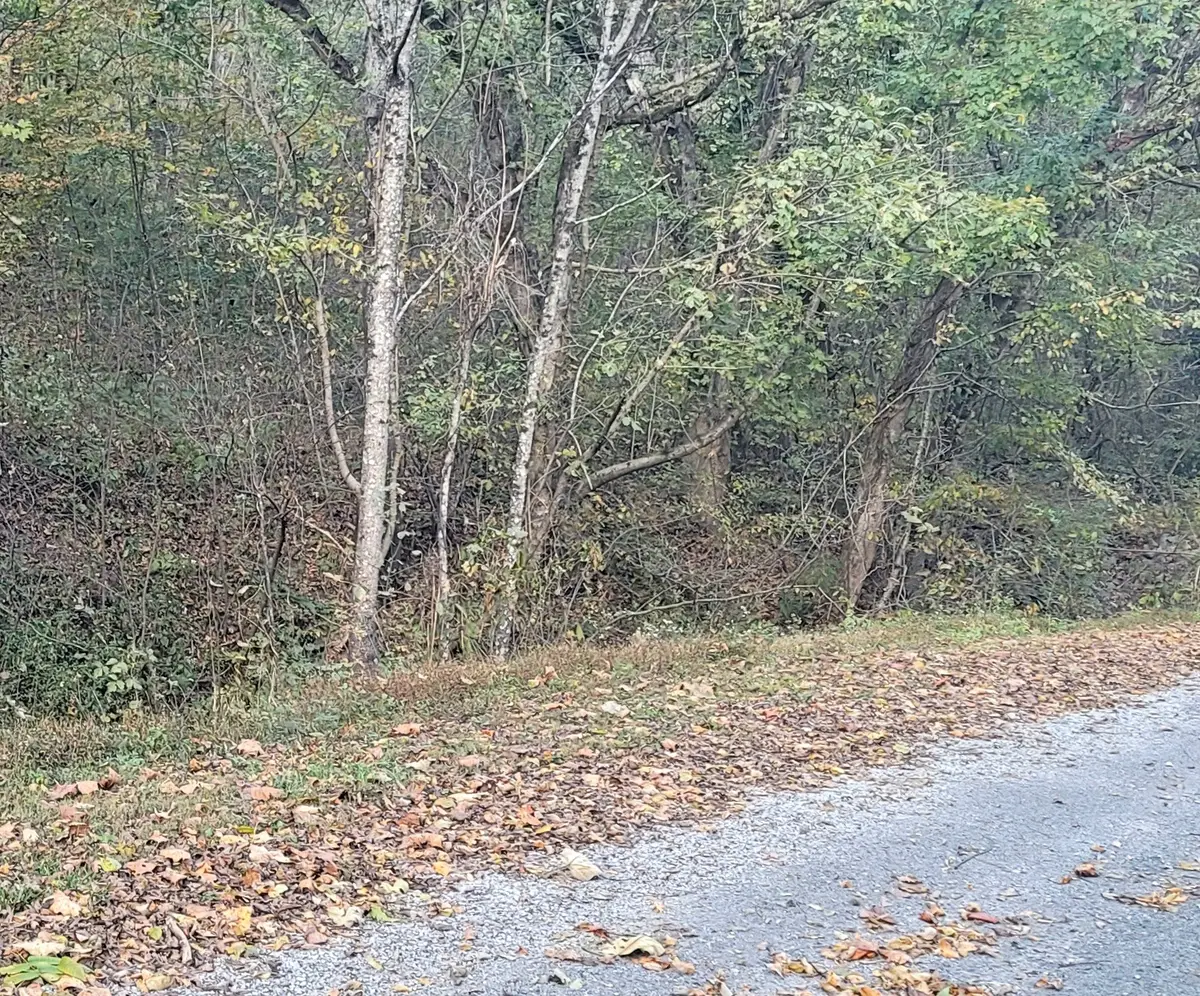 0 Buckeye Hollow Road, Smithville, TN 37166 - #1