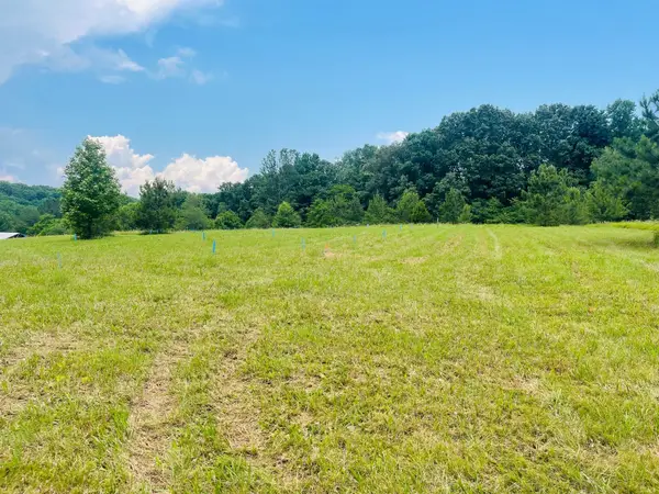 7149 Dice Lampley Rd, Fairview, TN 37062