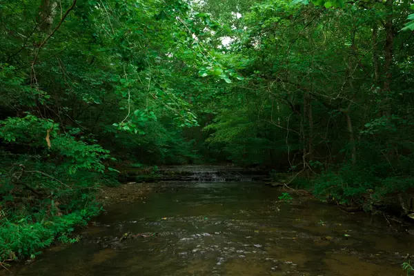 0 Hwy 100 And Int 840, Fairview, TN 37062