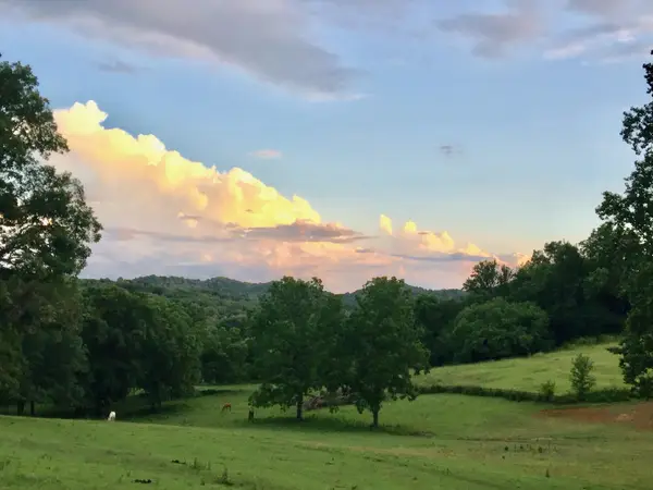 6628 Bethesda Arno Rd, Thompsons Station, TN 37179