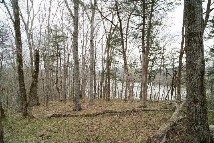#3