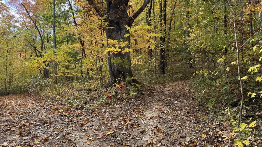 #2