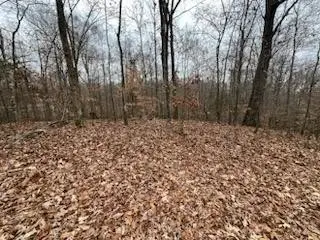 #2
