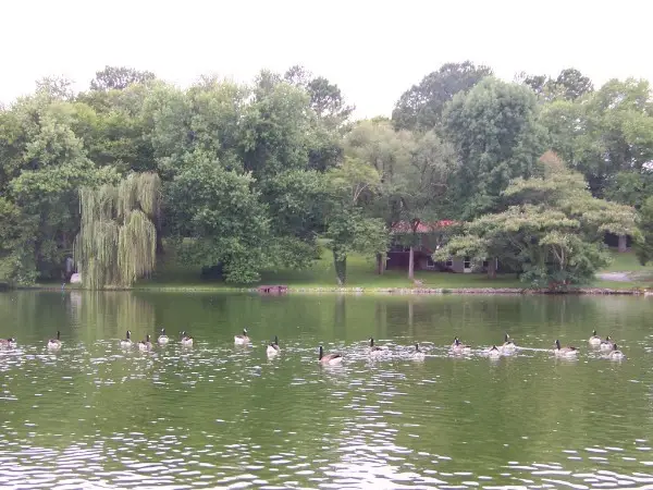 807 Clear Creek Rd, Pulaski, TN 38478 - Image #3