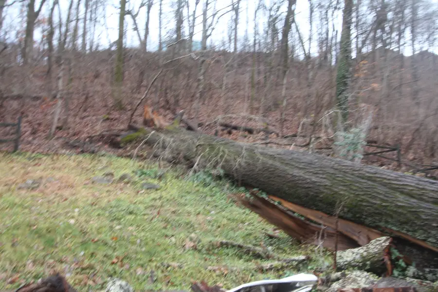 812 Highland Park Ct, Nashville, TN 37205 - Image #3