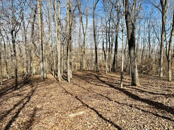 0 Hwy 70 E, Waverly, TN 37185