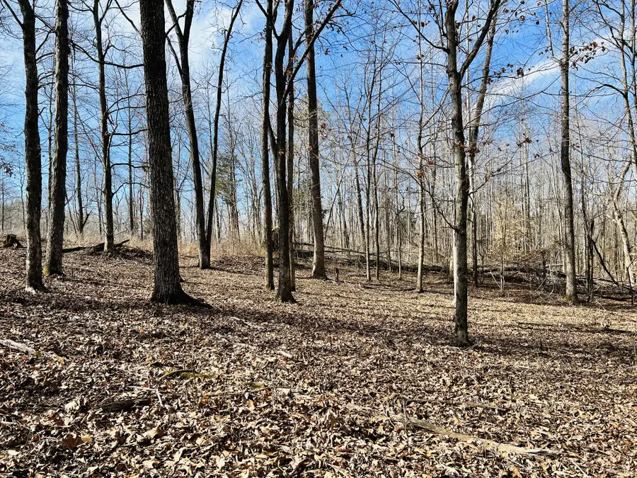 0 Hwy 70 E, Waverly, TN 37185 - Image #2