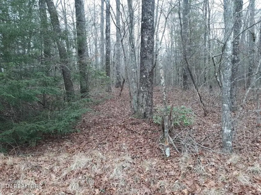 #3