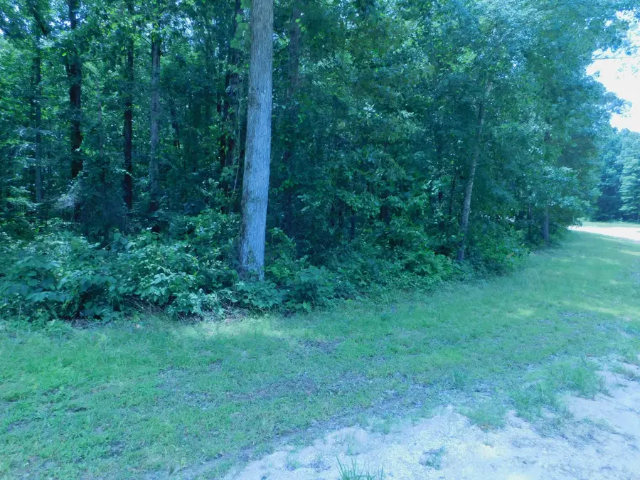 #3