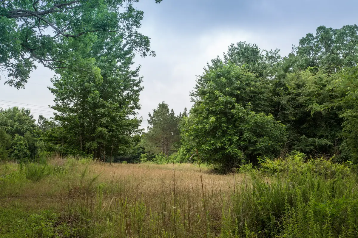 115 Baudy James Road, Cedar Grove, TN 38321 - #1