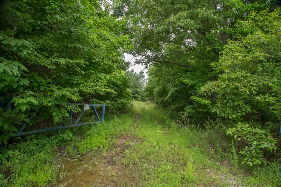 115 Baudy James Road, Cedar Grove, TN 38321 - #3