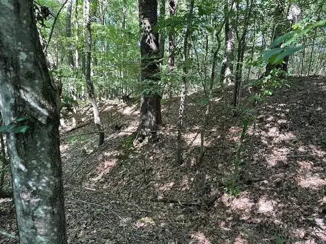 0 Cummins Rd, Eva, TN 38333 - #1