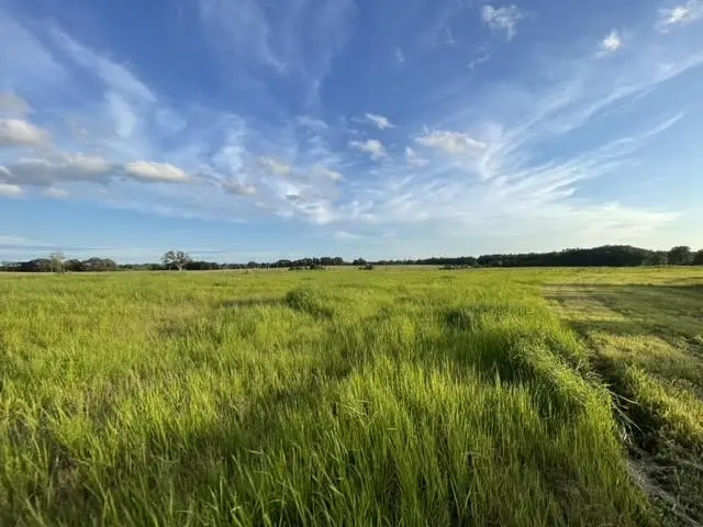 2505 Summer Oaks Cir, Summertown, TN 38483 - Image #1