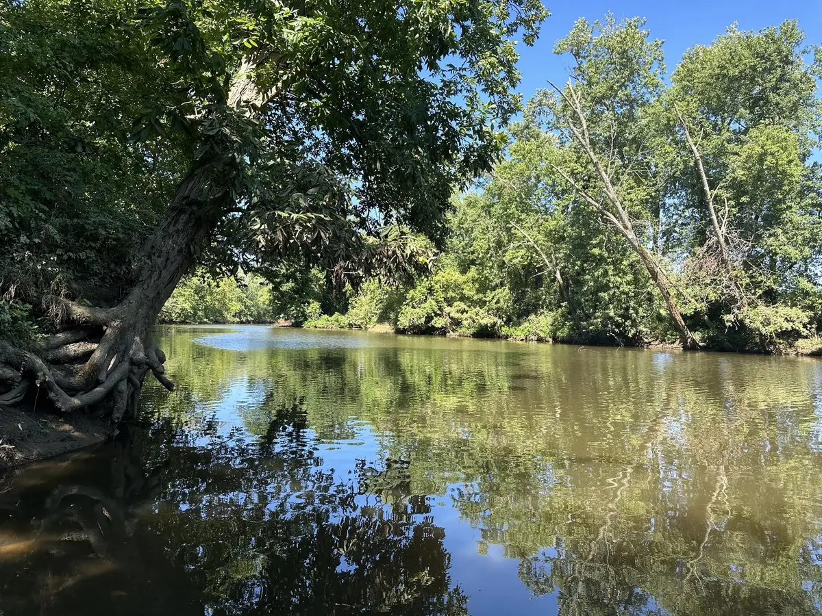 0 Whitefield Lane, Carthage, TN 37030 - #1