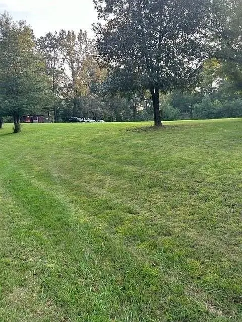 #3