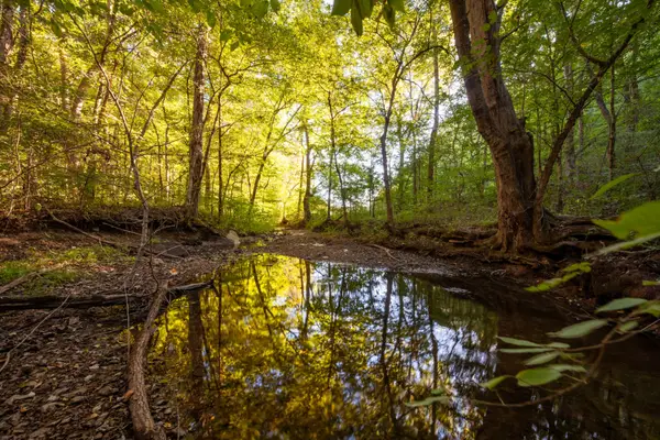 0 Sugar Ridge Rd, Spring Hill, TN 37174