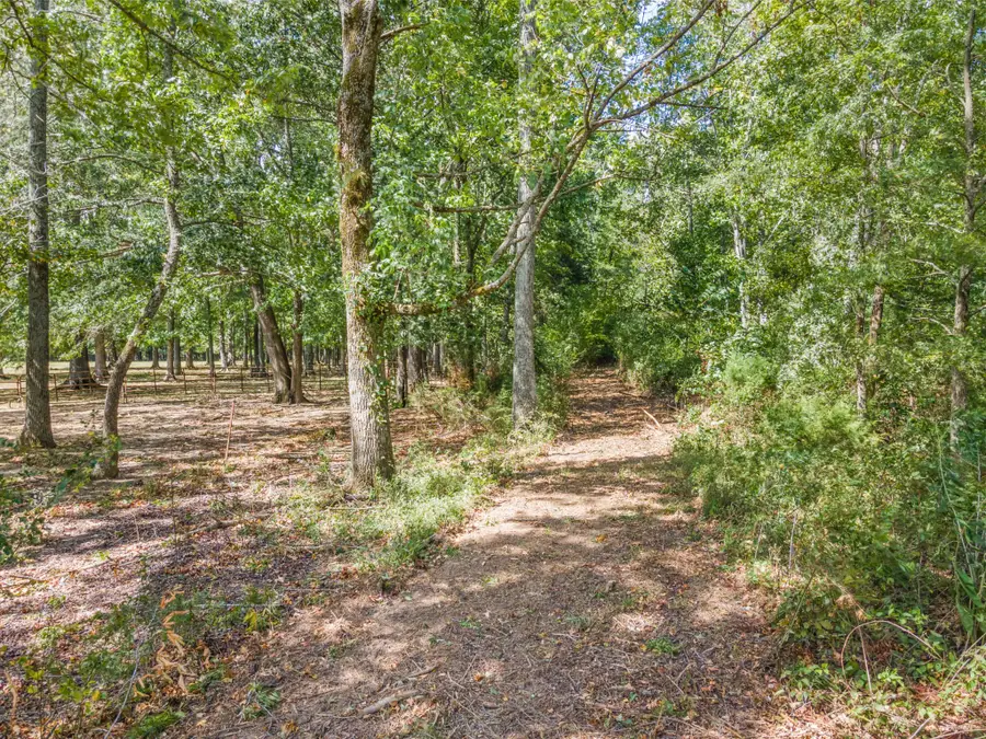 0 Spur Road, Decherd, TN 37324 - #2