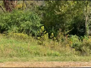 #1