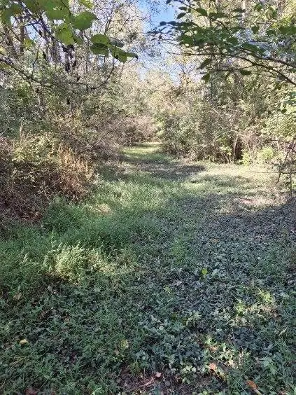#2