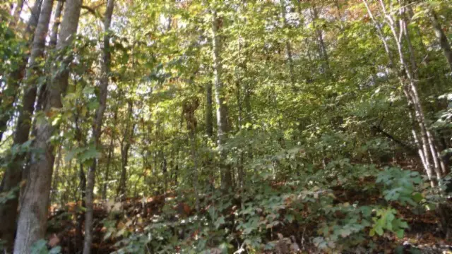 #2