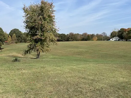 #3