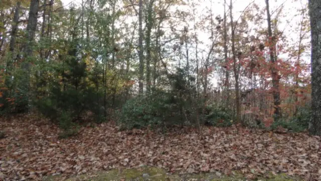 #3