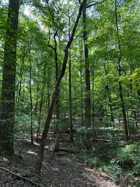 #2