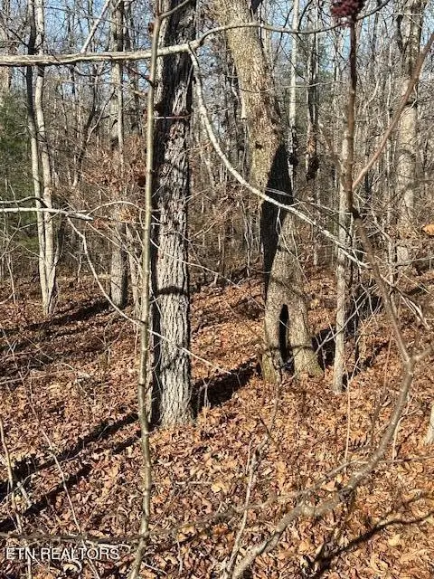 #3