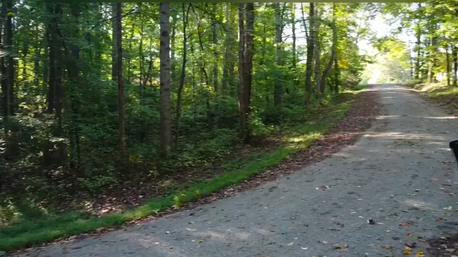 #3